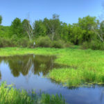 wisconsin-hoffman-hills-state-recreation-area-landscape-and-pond